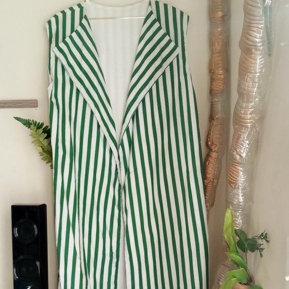 Spearmint Brigade! Long striped Vest!😍 🌿🍃 - Picture 6 of 11